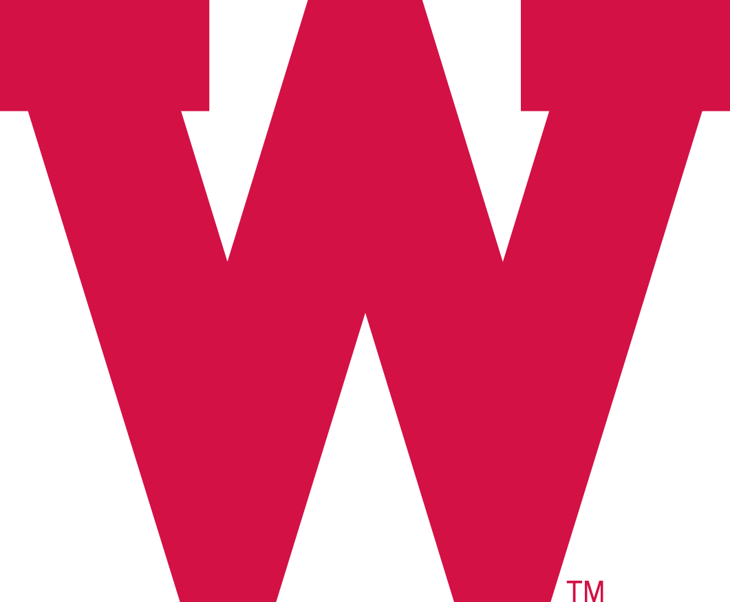 Wisconsin Badgers 1970-1990 Primary Logo decal supplier